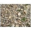 12 Elah Valley - smooth stones.jpg